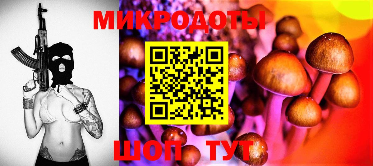Псилоцибиновые грибы Psilocybine cubensis  Вход с VPN  Ростов Великий 